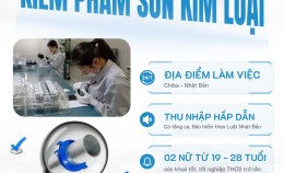 Phân Biệt Visa Kỹ Sư và Visa Thực Tập Sinh Nhật Bản Dễ Hiểu