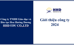 Giới Thiệu Về Công Ty Hoa Hướng Dương